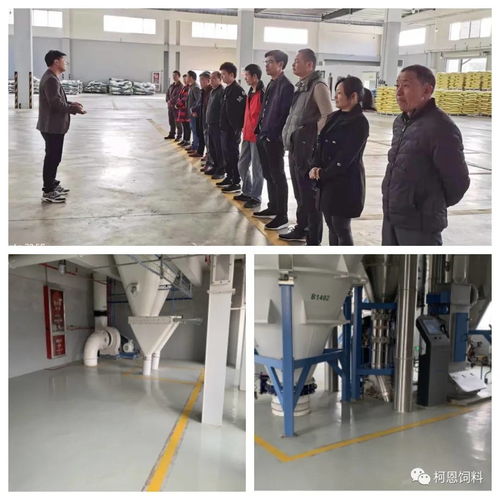 規(guī)模養(yǎng)殖服務(wù)商之清潔工廠：柯百微在行動