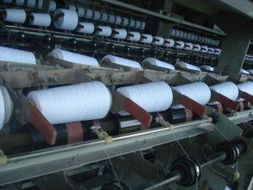 蒼南縣望里鎮(zhèn)海島清潔用品廠 專業(yè)清潔服務，守護環(huán)境之美